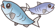 イケスの魚、喜ぶ!