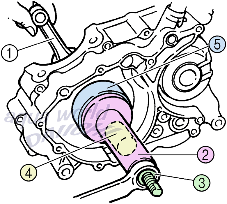 NNVtgCXg[[găNNVtgNNP[XɑgݕtƗ