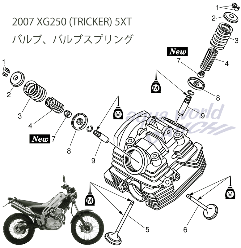 I[goC GW ouAouXvO i\} 2007NgbJ[EZ[250