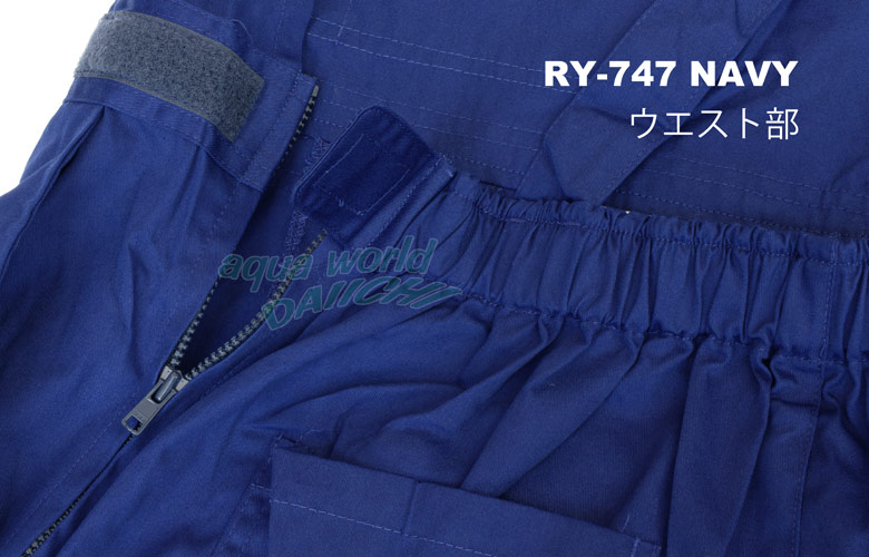 EGXg@\{TCht@Xi[ RY-747 Tybgƕ